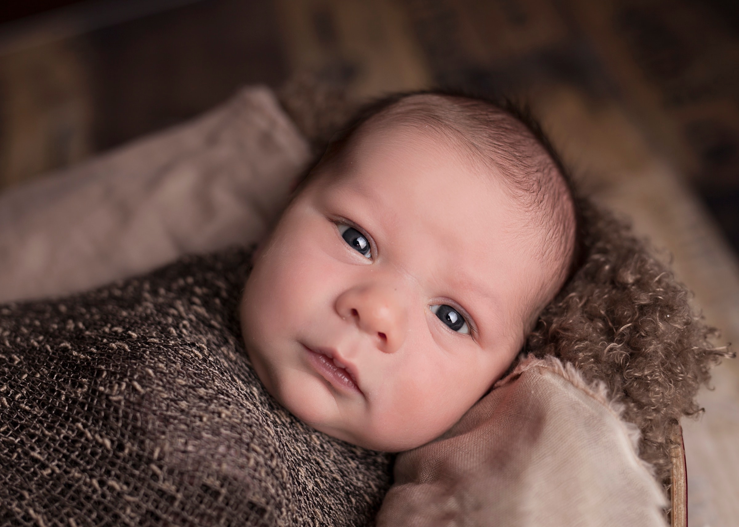 Newborn baby wrapped in a soft blanket