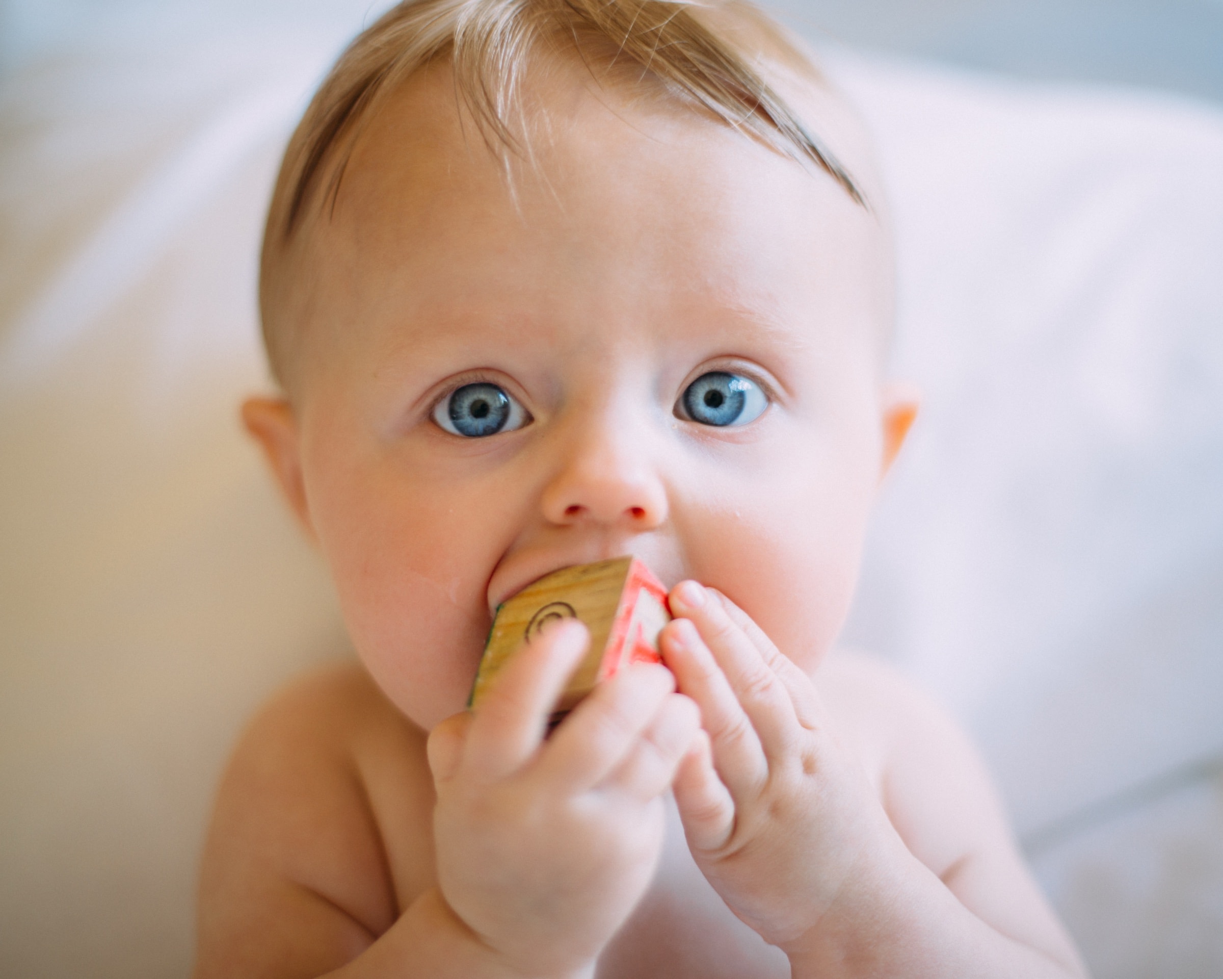 A baby holding a toy to their mouth