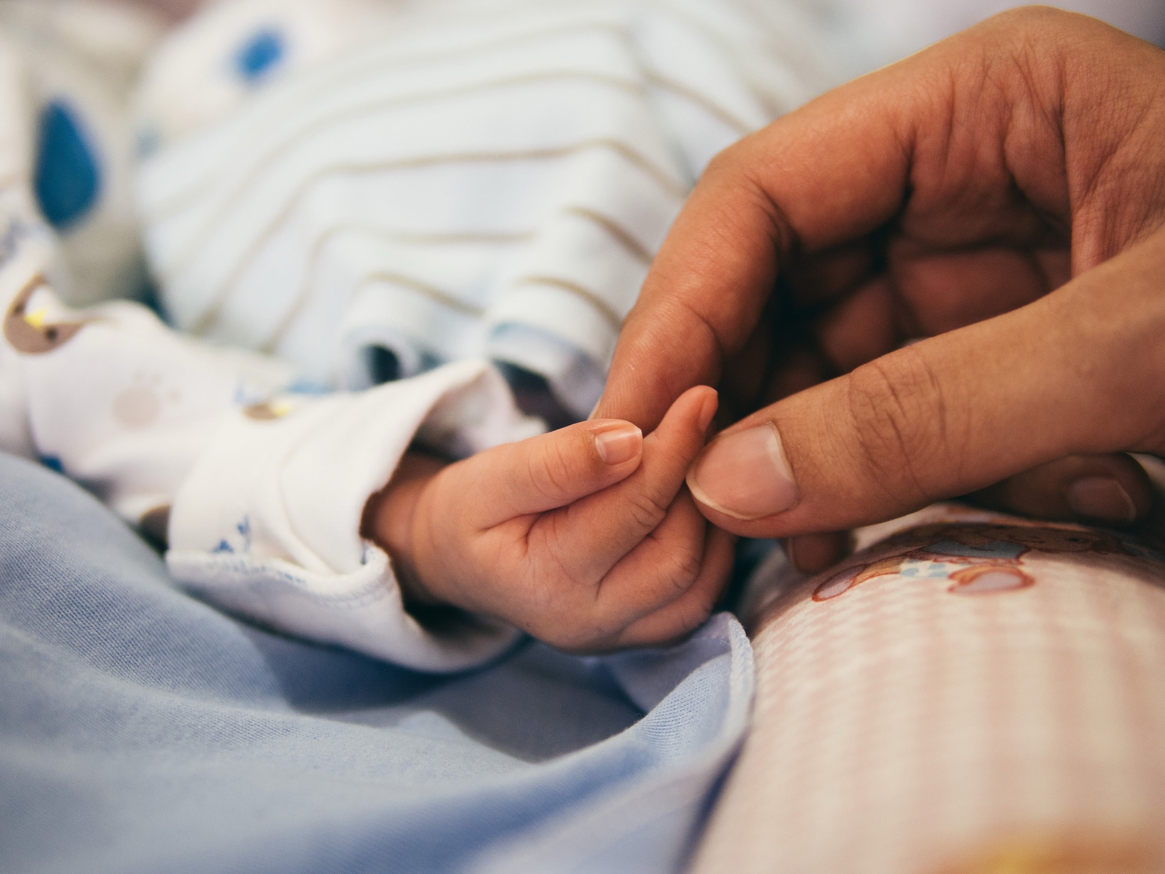 A parent's hand holding a baby's hand
