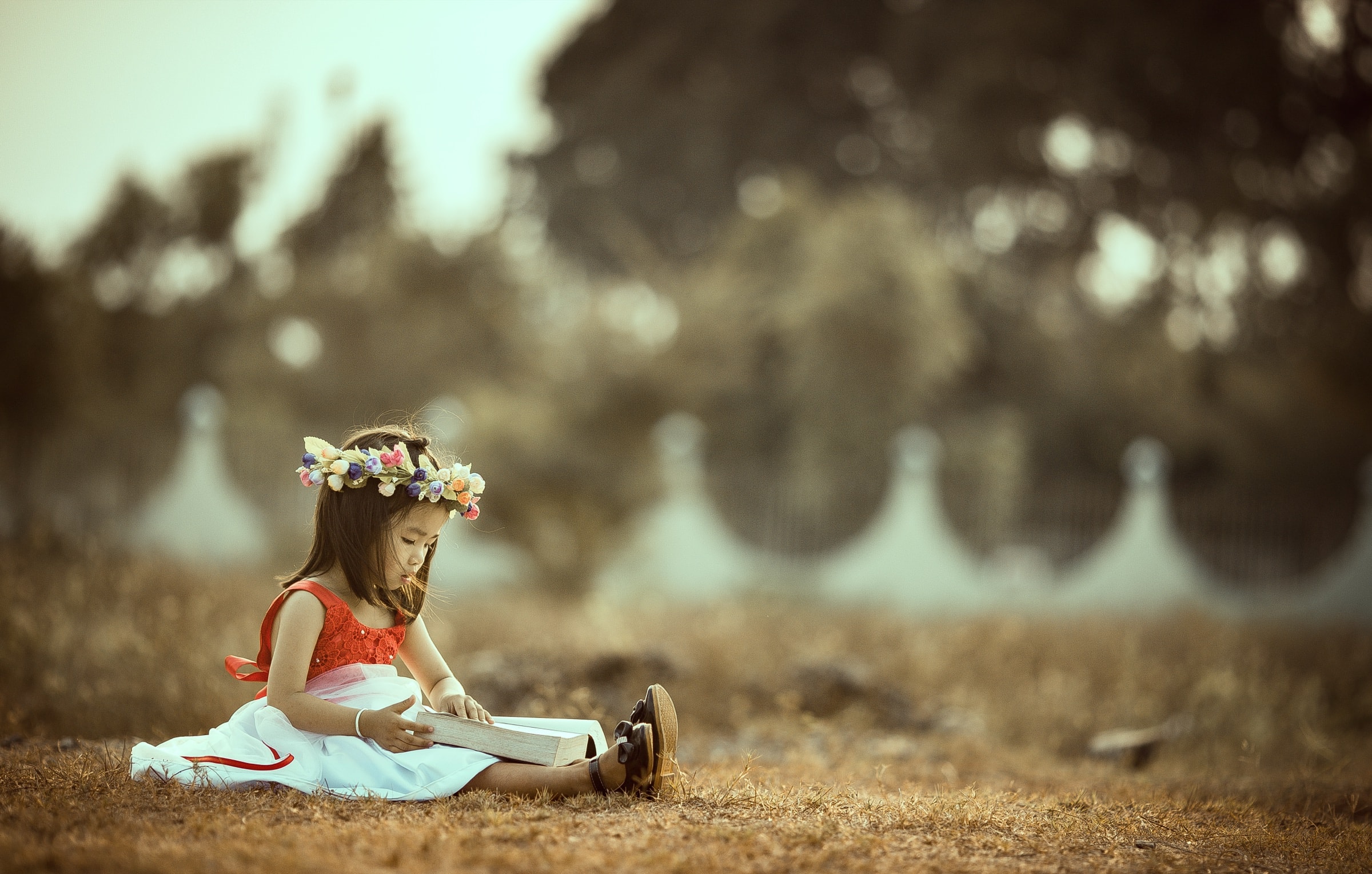 A toddler sitting on the ground in a sunlit field