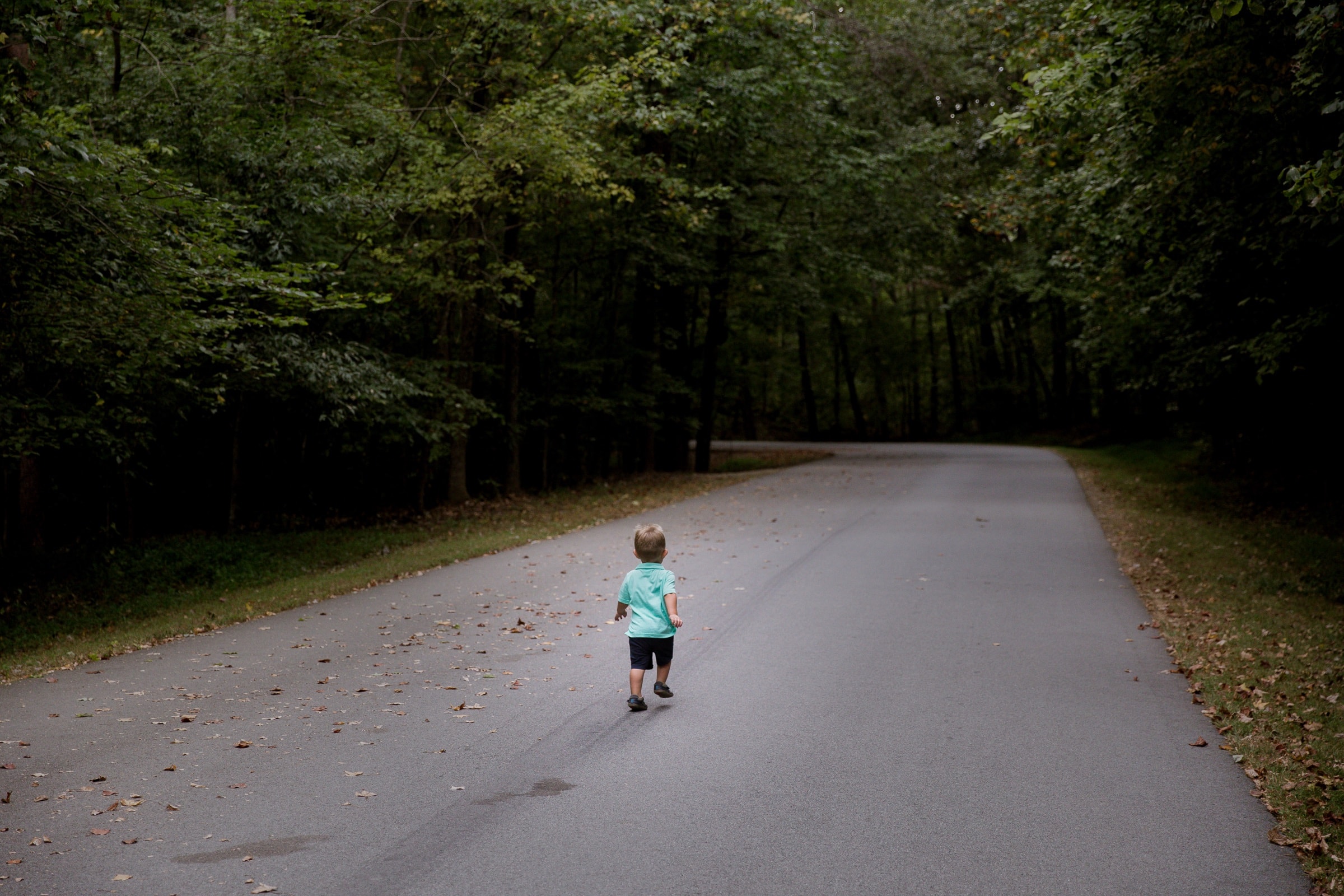 A toddler walking down a quiet tree-lined road
